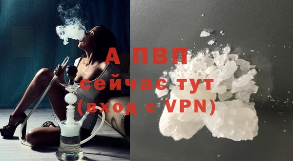 apvp Алексин